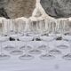 Set de 10 verres à vin rouge