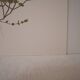 Botanical board, Glasses or ophthalmic grass