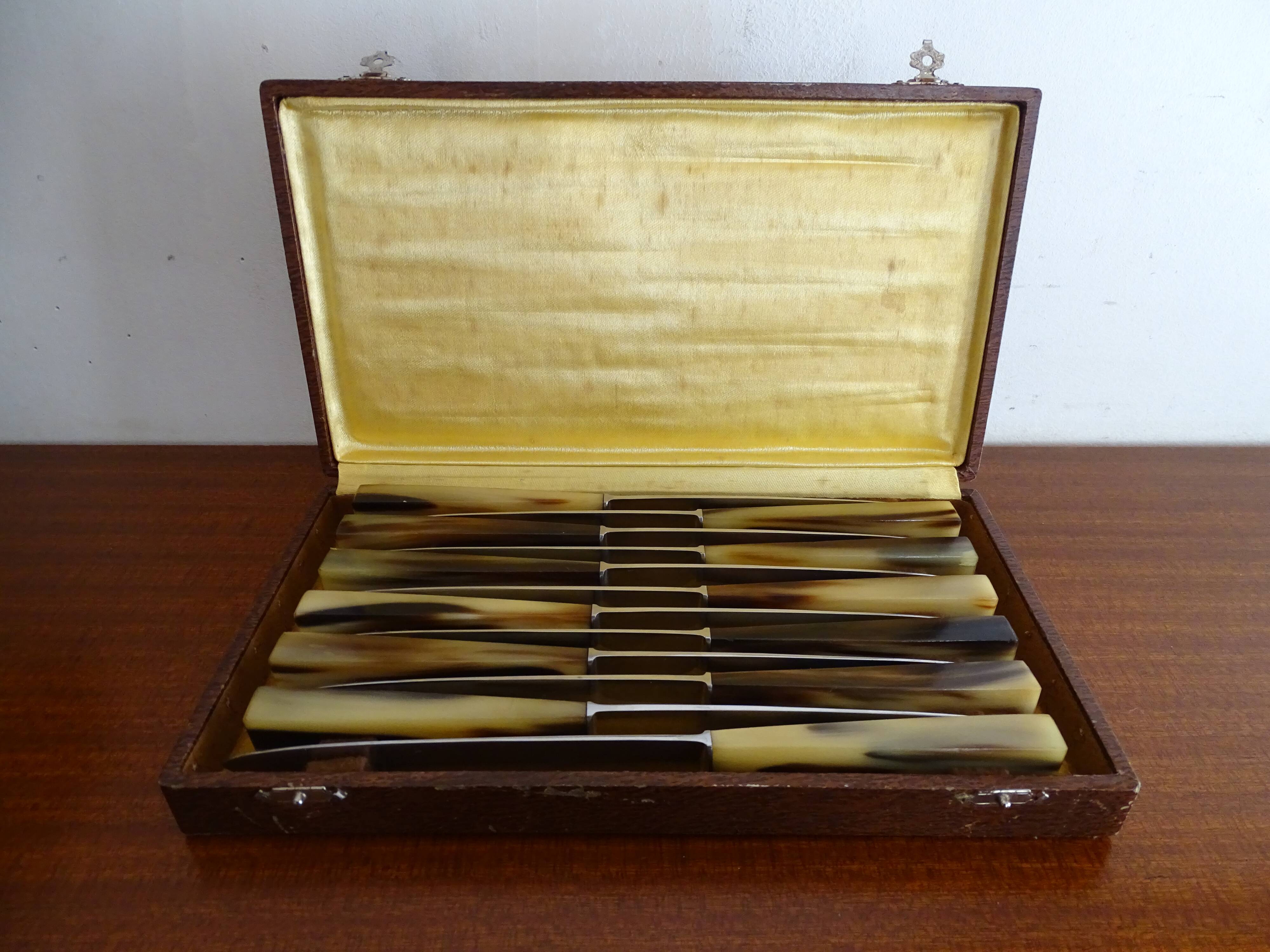 12 old Art Deco horn and stainless steel knives in case