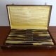 12 old Art Deco horn and stainless steel knives in case