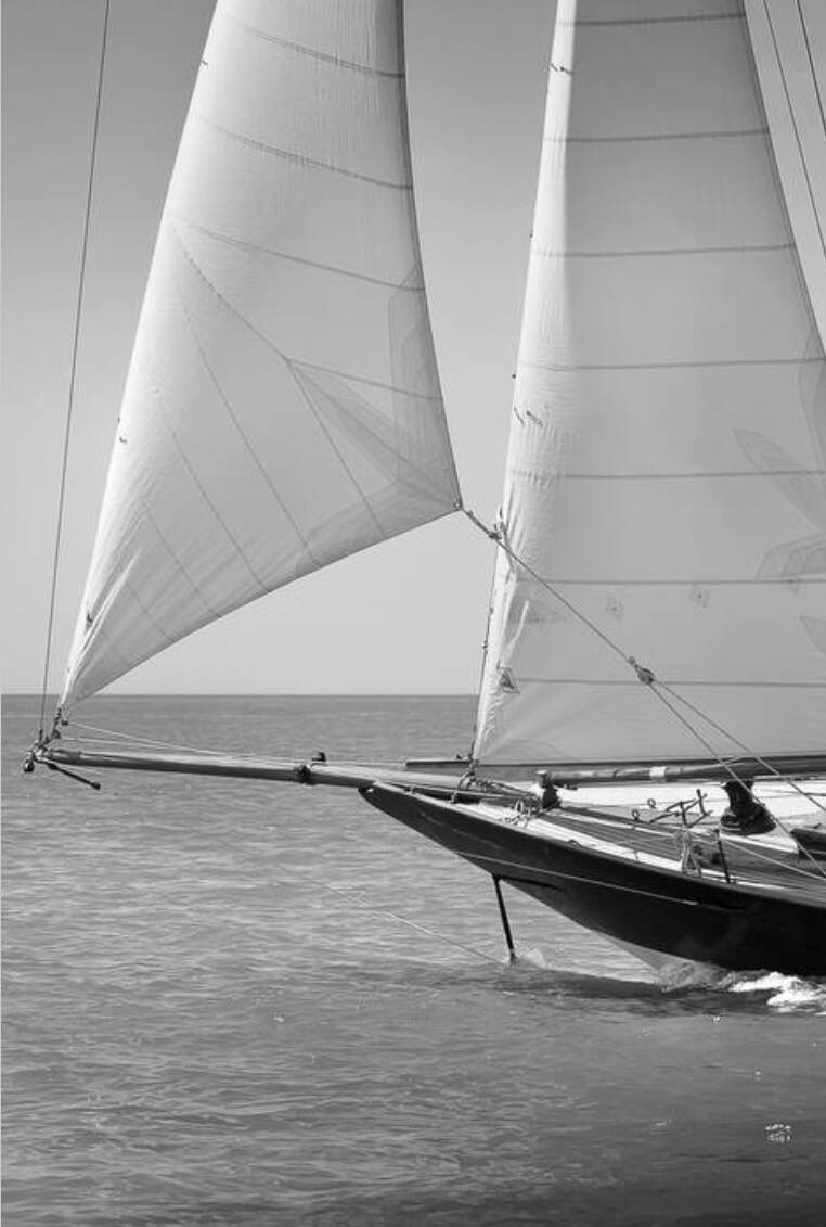 Photo of the boat Pen Duick.