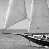 Photo of the boat Pen Duick.