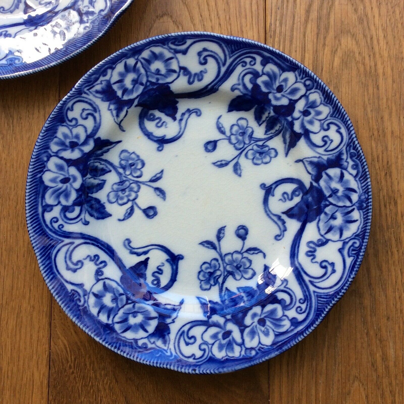 Creil & montereau two old plates faience model flora liseron (a)