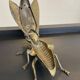 Vintage bronze fly ashtray Italy