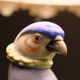 Porcelain Pheasant Table Lamp Germany 1950s