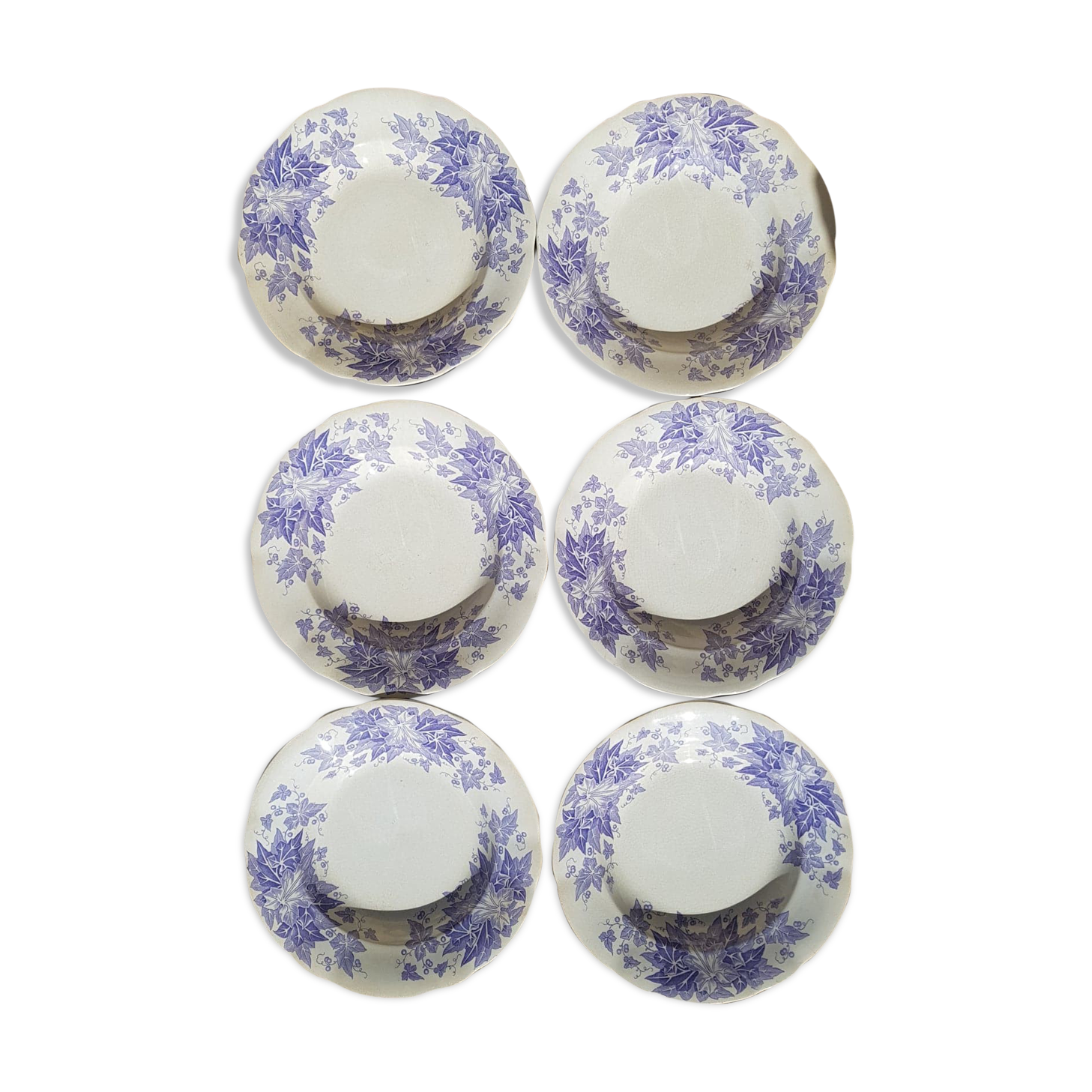 Set of 6 plates Sarreguemines model Bryonia