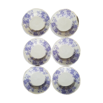 Set of 6 plates Sarreguemines model Bryonia