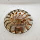 Jar covered with Murano glass in the 50s