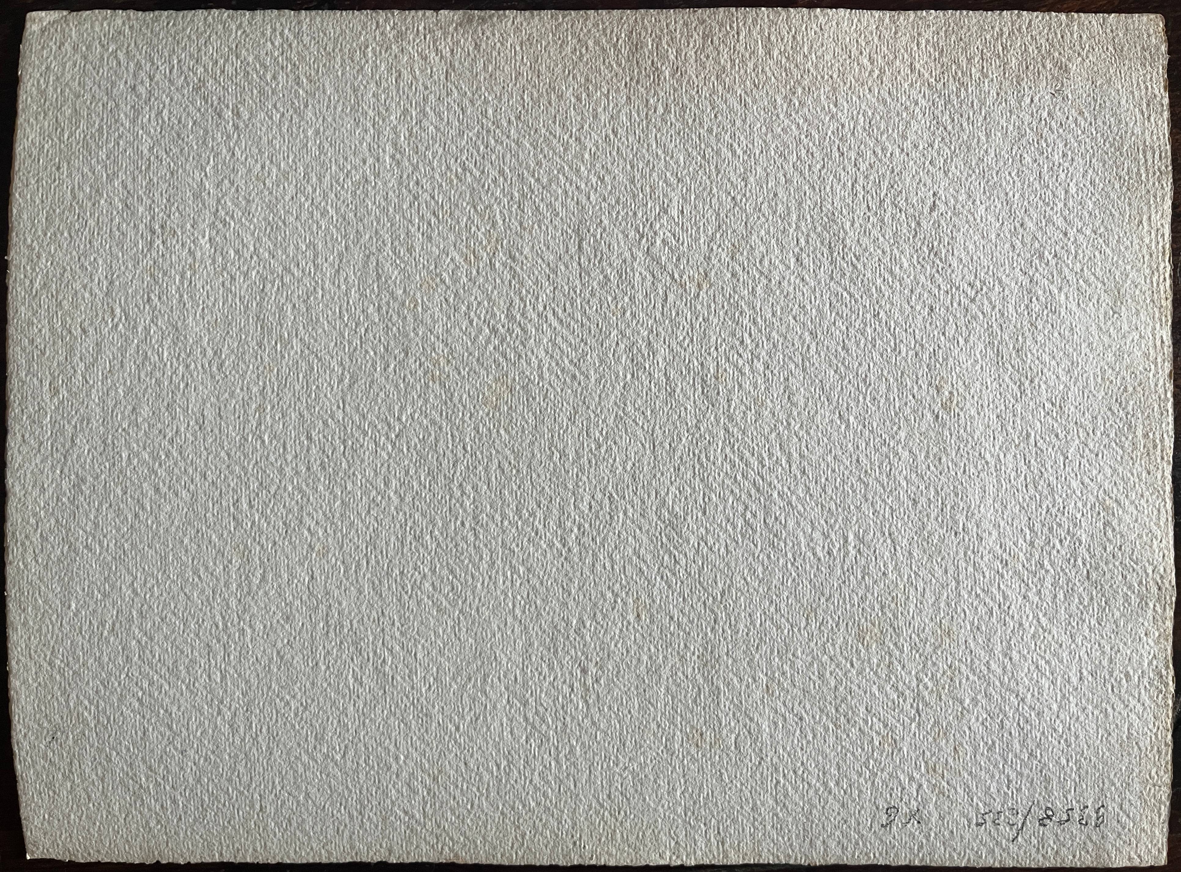 Watercolor painting by G. GIRARDOT (1856-1914) Lake Chevillon dated 1903