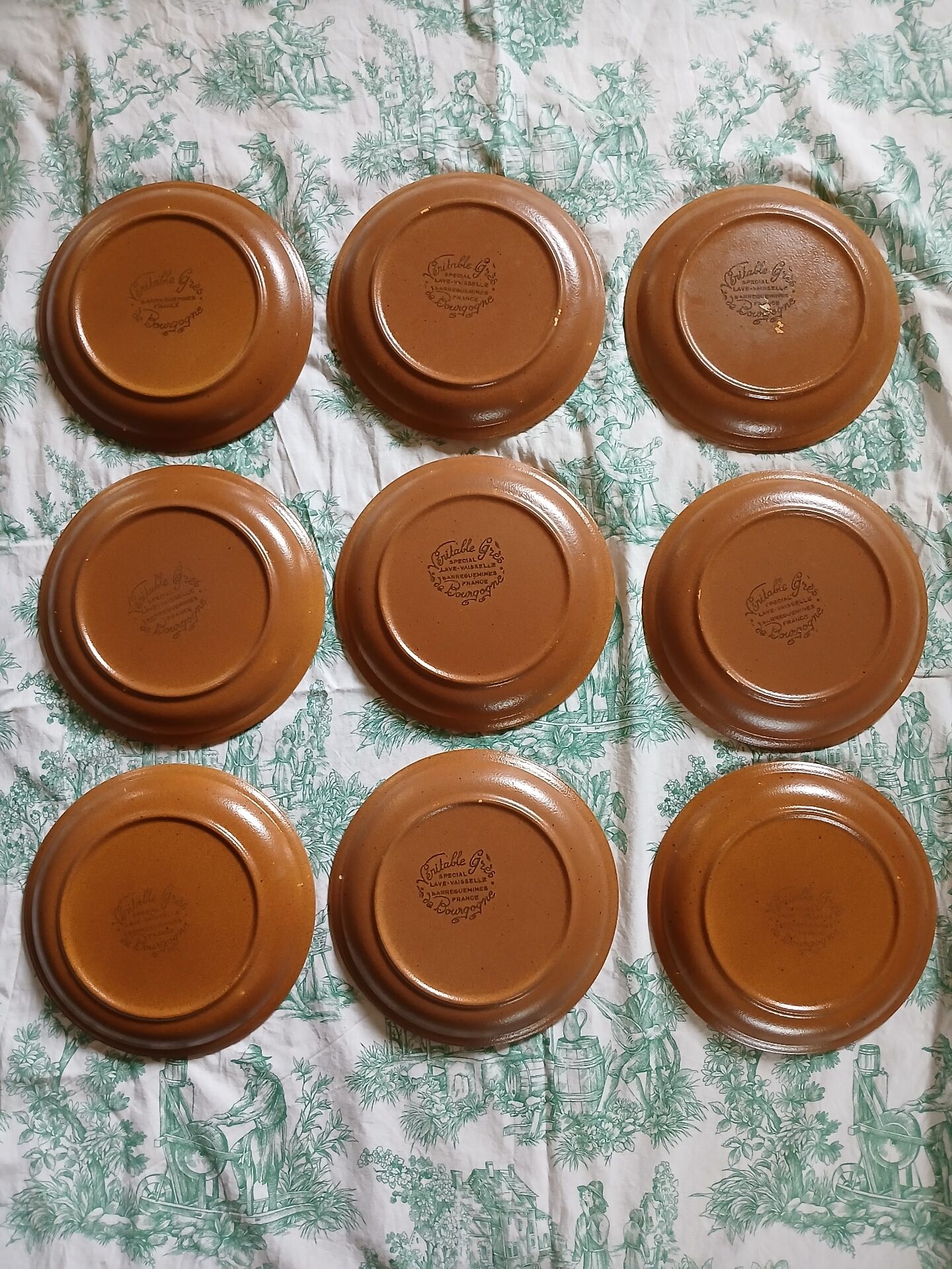 9 flat plates in Sarreguemines stoneware
