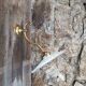 Wall lamp gooseneck bronze and serrated opaline.