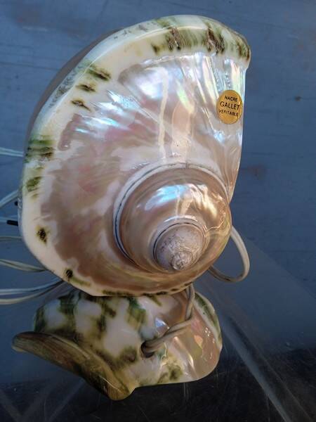 Vintage shell night light lamp from the 1960s