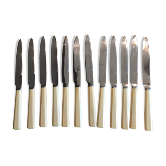 Ménagère 24 couteaux en métal argenté et manche en corne "La Reine Blanche" Paris