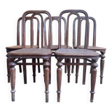 Set of 5 Thonet chairs number 41