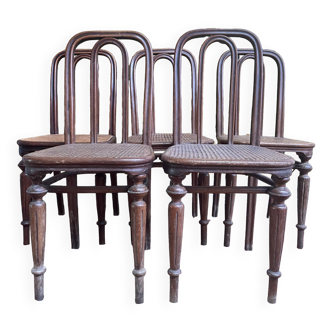 Suite de 5 chaises Thonet numéro 41