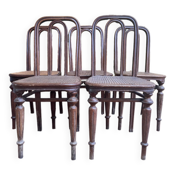 Set of 5 Thonet chairs number 41