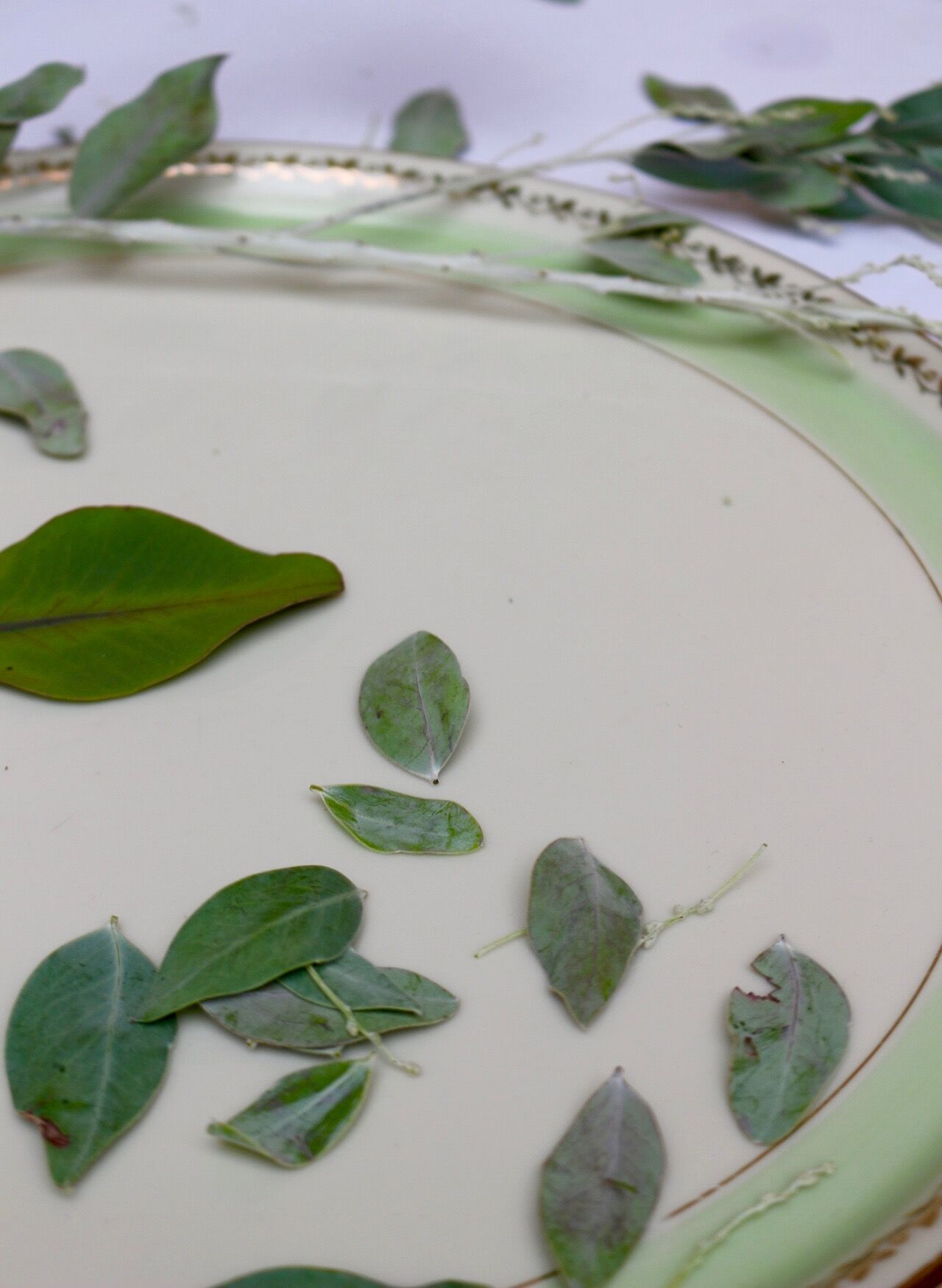 Pie dish, Limoges porcelain