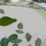 Pie dish, Limoges porcelain