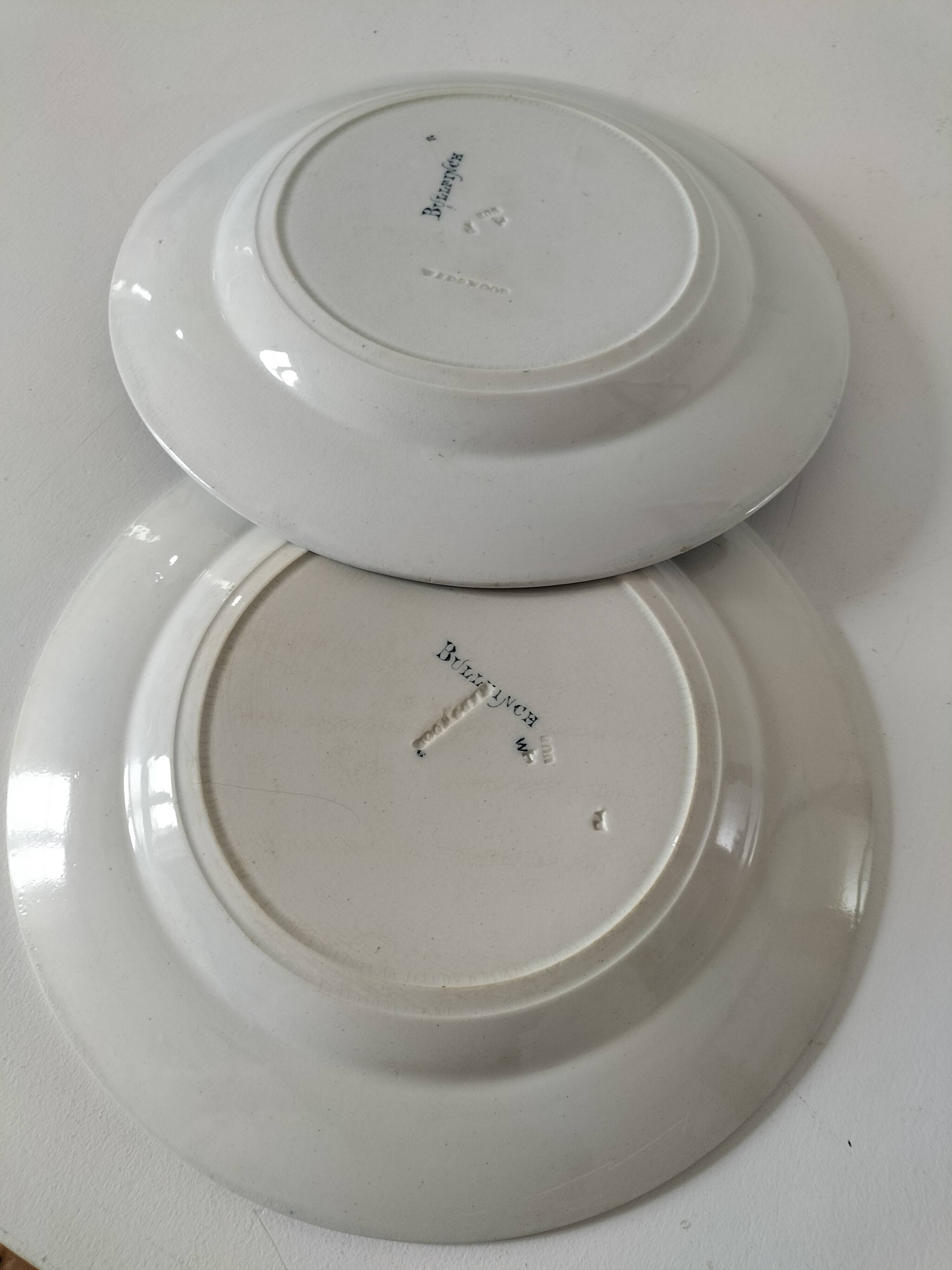 Vintage Wedgwood Bullfinch Plates