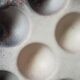 6 glazed ceramic snail plates