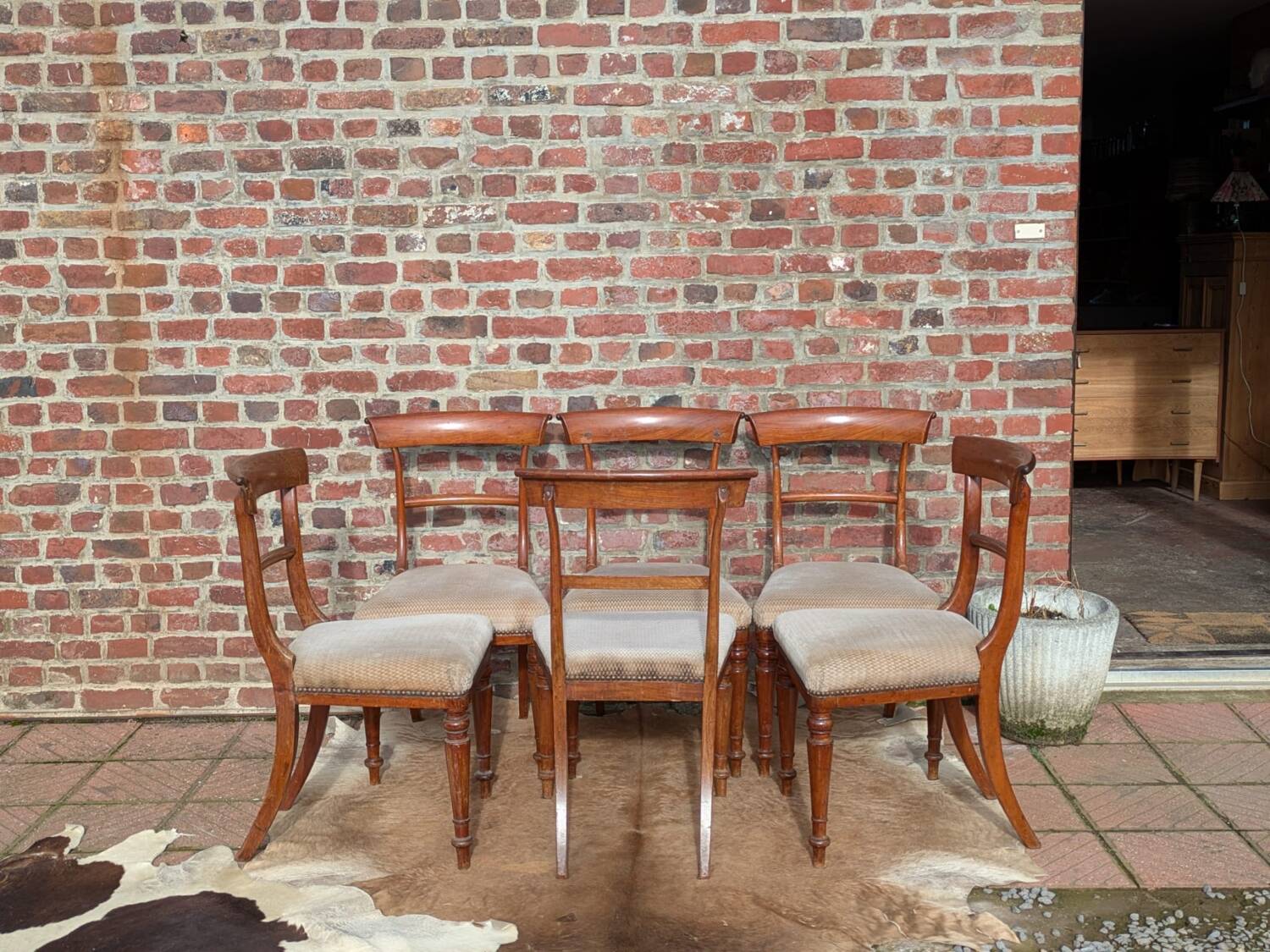 Set of mahogany chairs