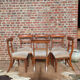 Set of mahogany chairs