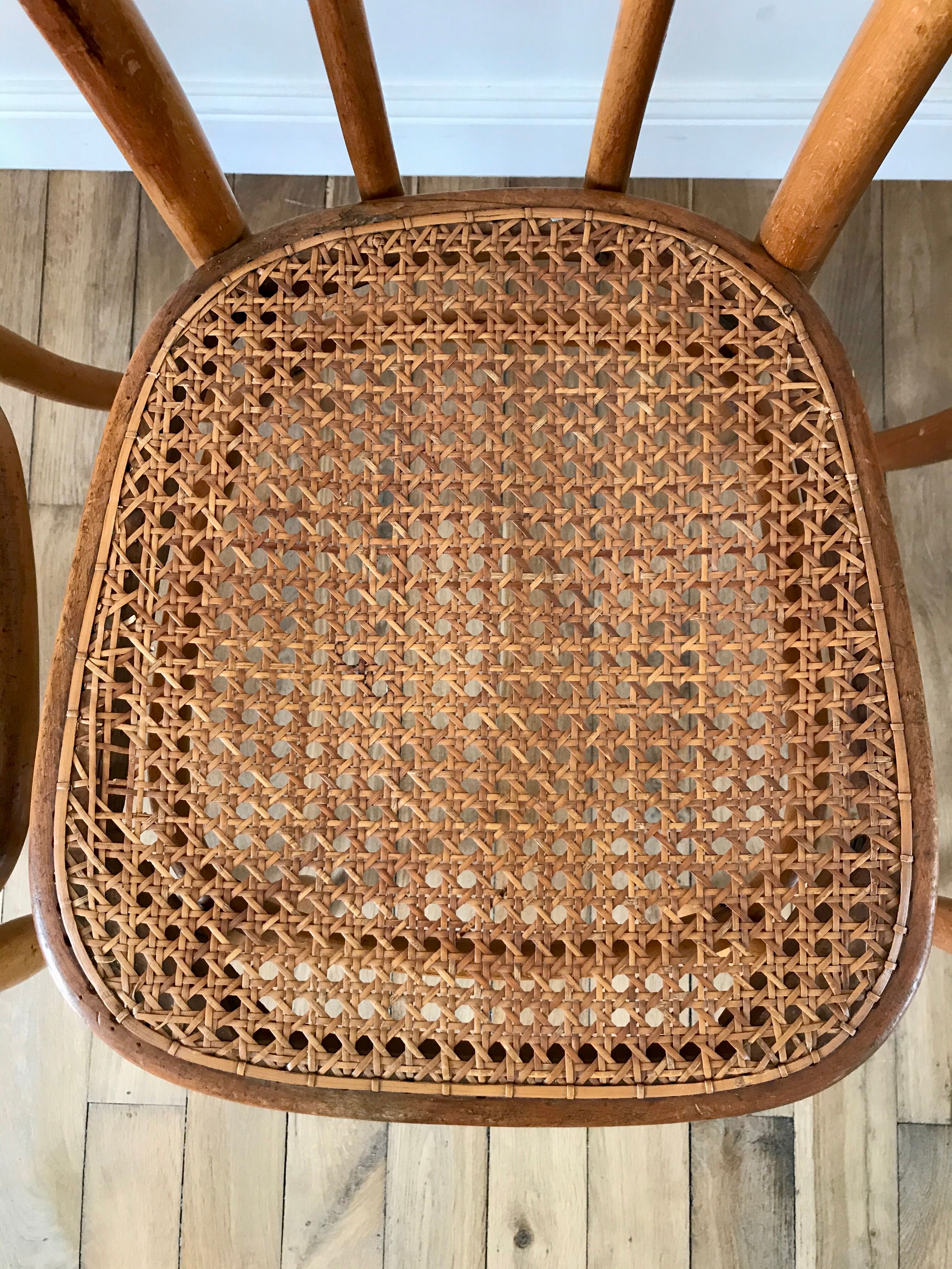 Set of 4 cane chairs in bentwood and honey-coloured cane thonet early 20th century