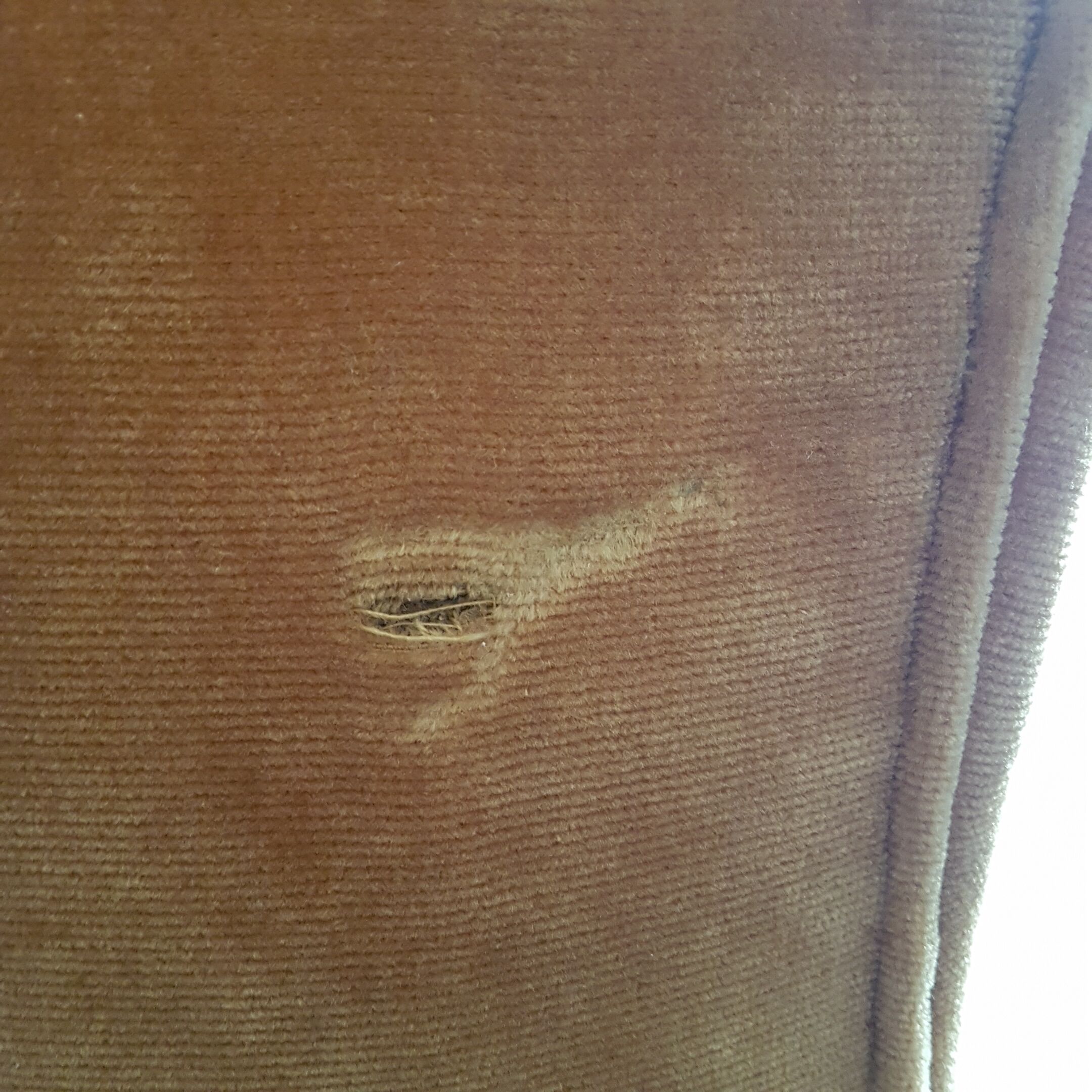 Golden fringed toad chair