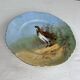 Antique decorative plate