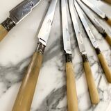 Series of horn knives