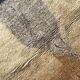 Thick vintage Berber rug, 100% handwoven sheep wool.