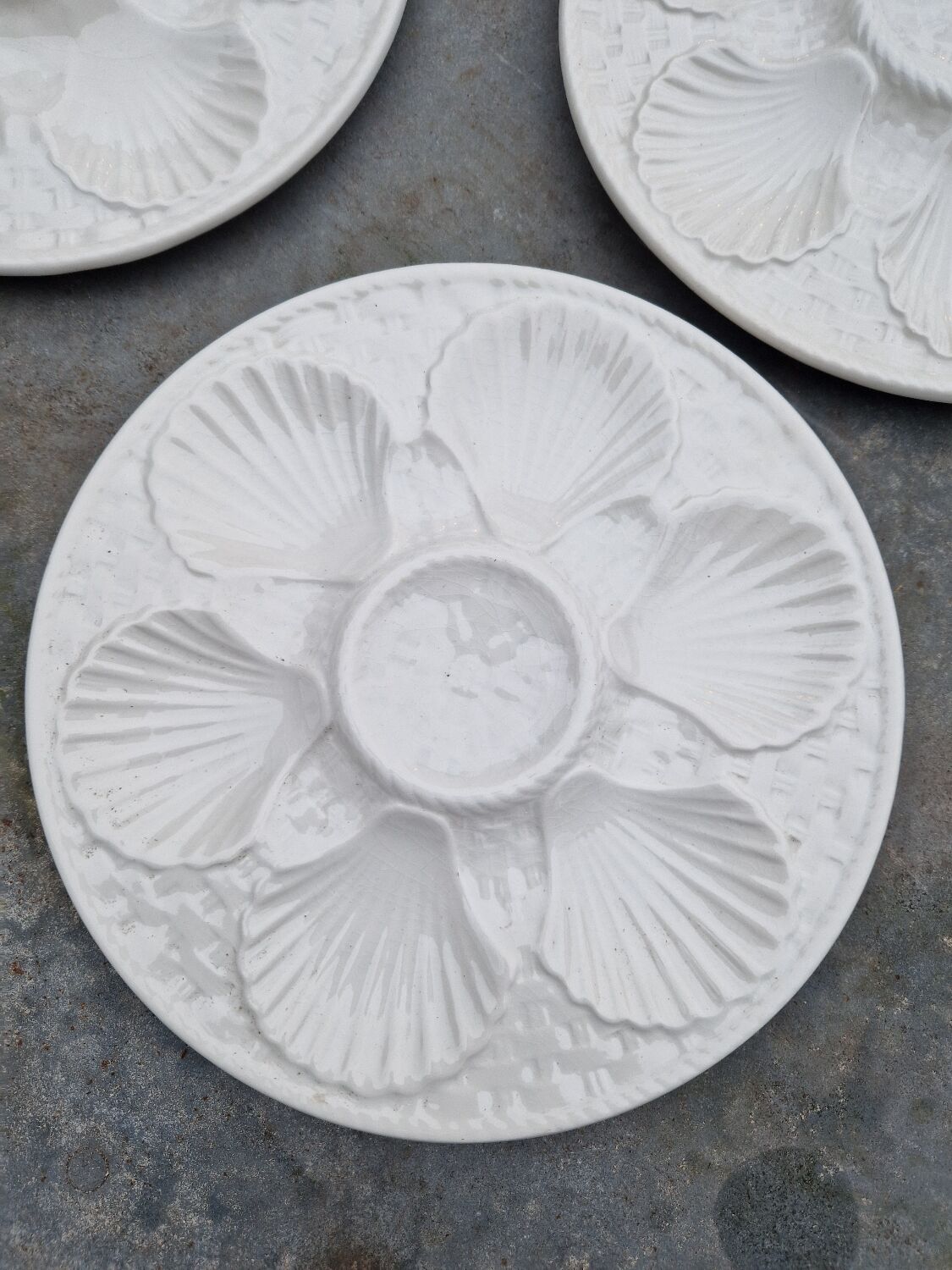 Set of 6 oyster plates with shells in white earthenware