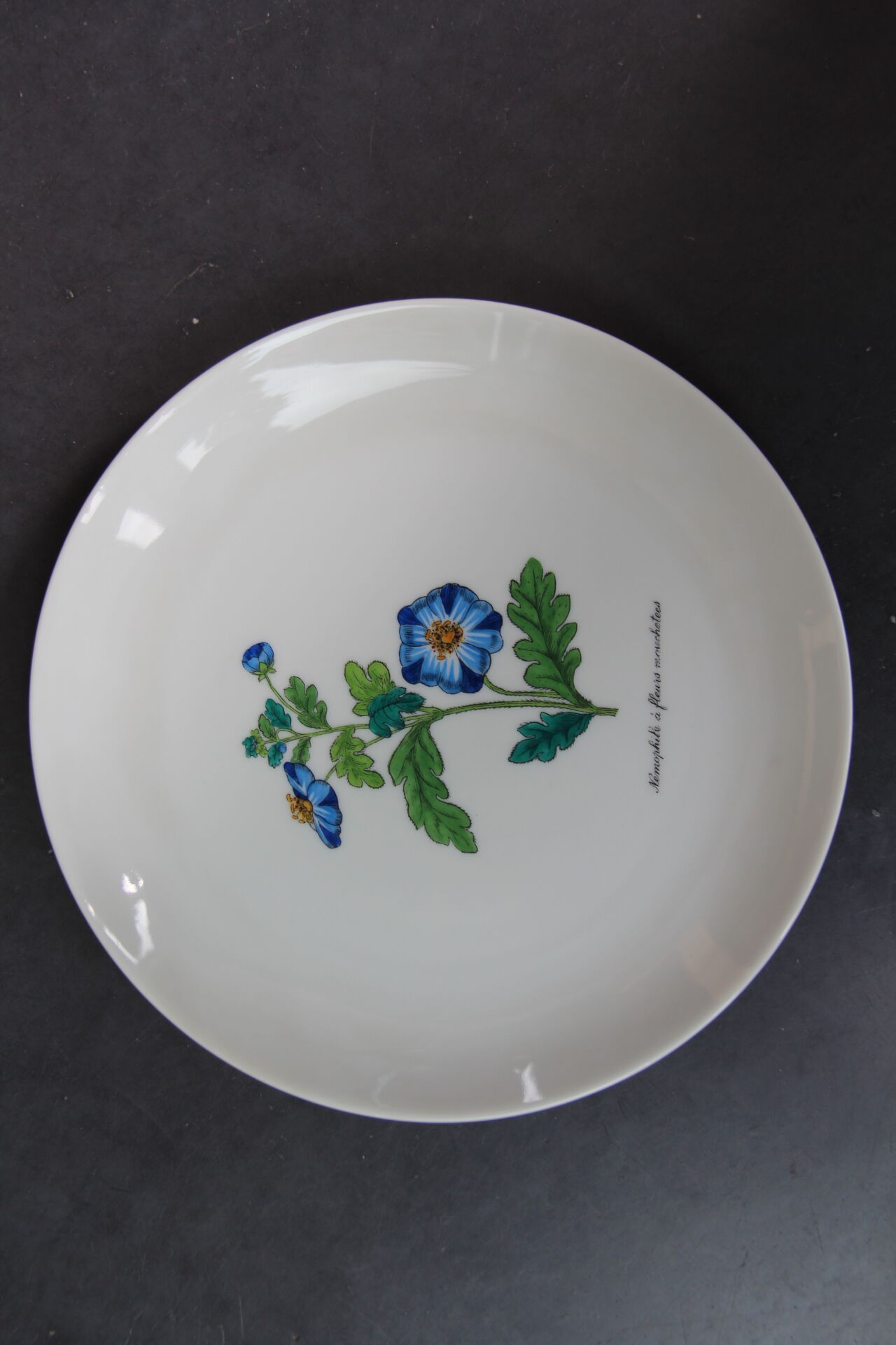 6 NBD Limoges dessert plates illuminated by hand