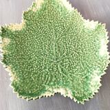 Cabbage leaf dish