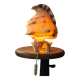 Shell lamp