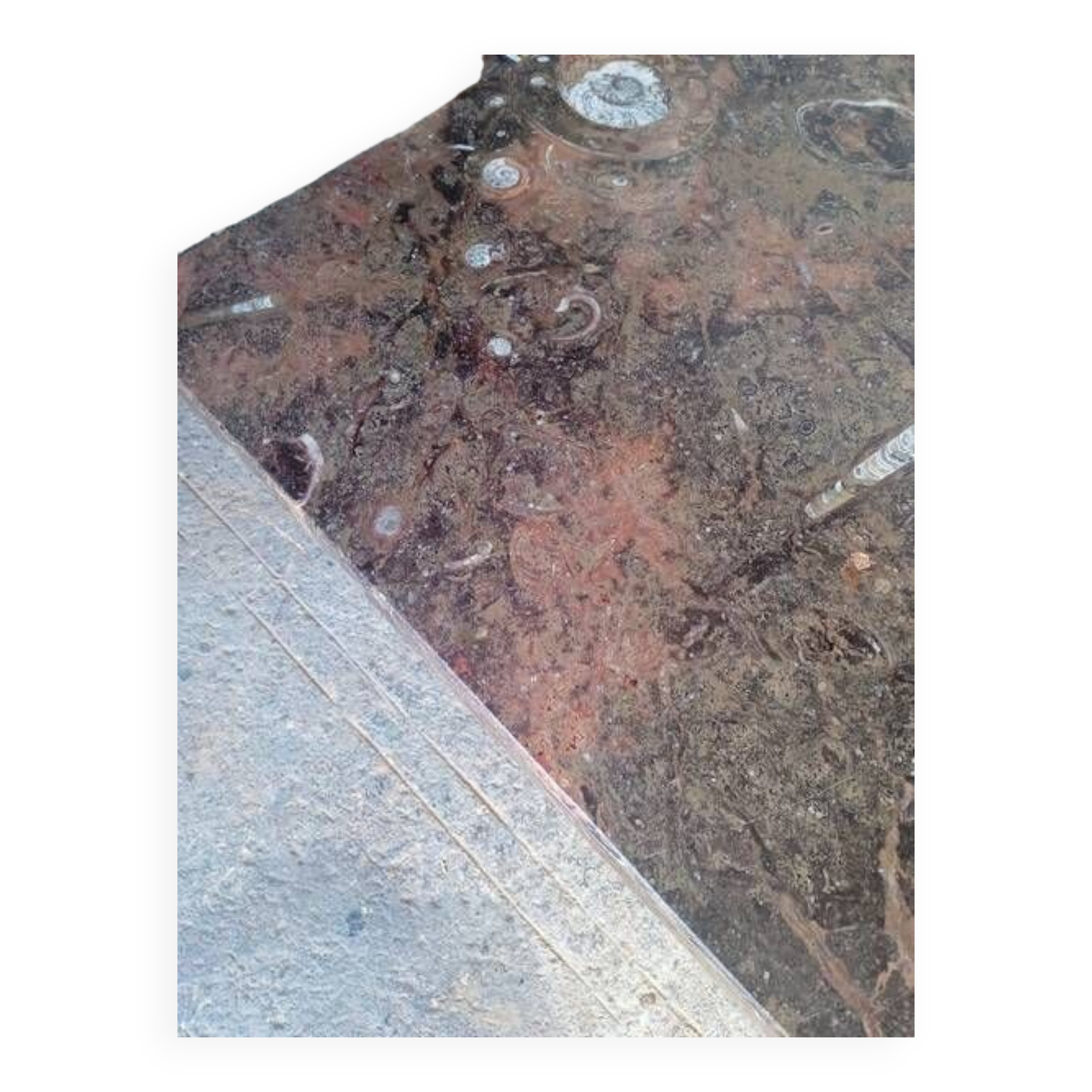 Fossil marble design coffee table 124cm