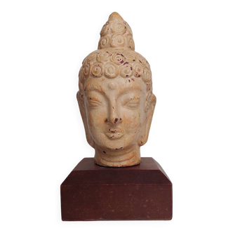 Terracotta Buddha Head