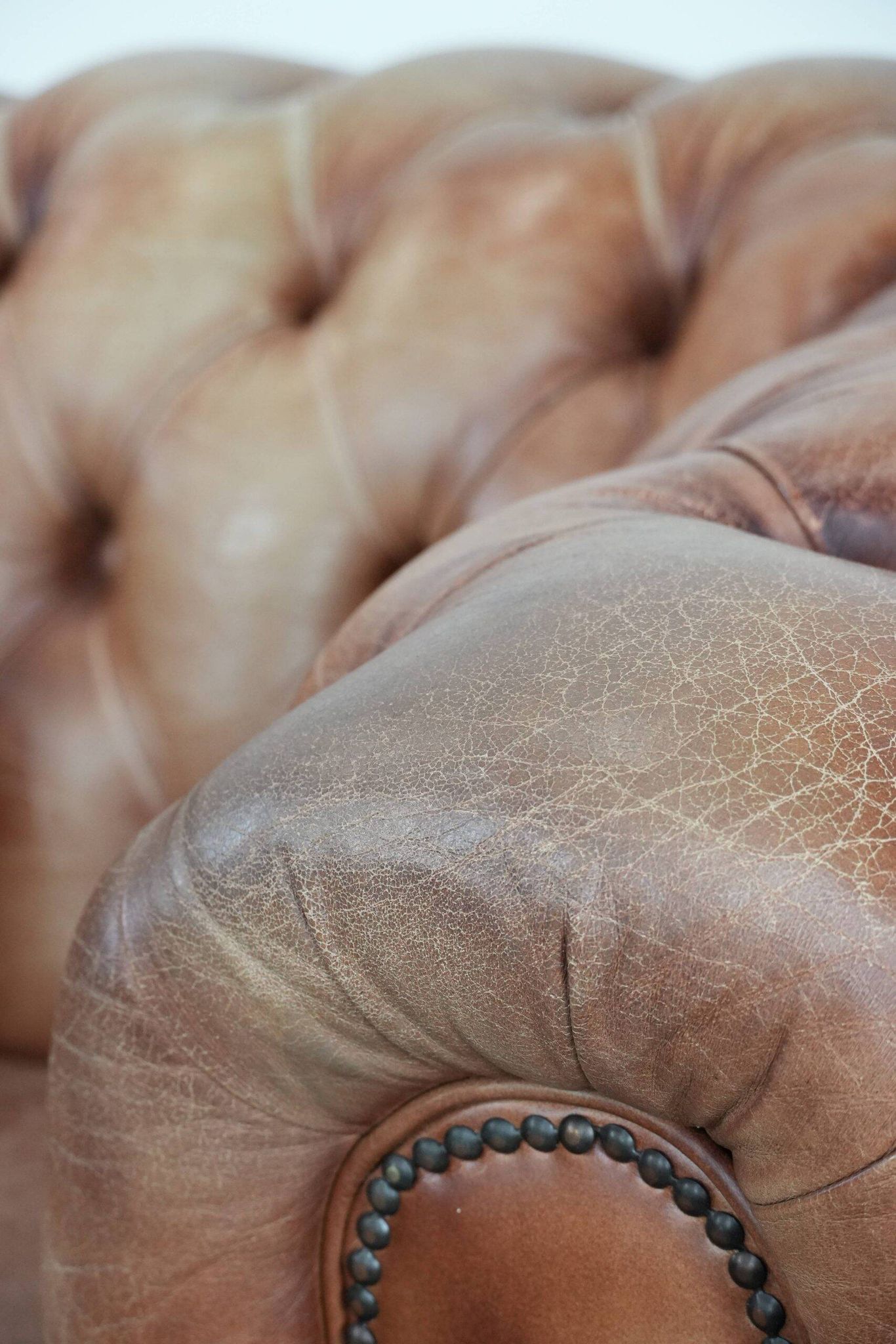 Chesterfield armchair in English style made of cowhide leather