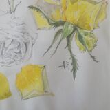 Illustration ancienne encadrée – Roses jaunes – Style botanique – 63x76 cm