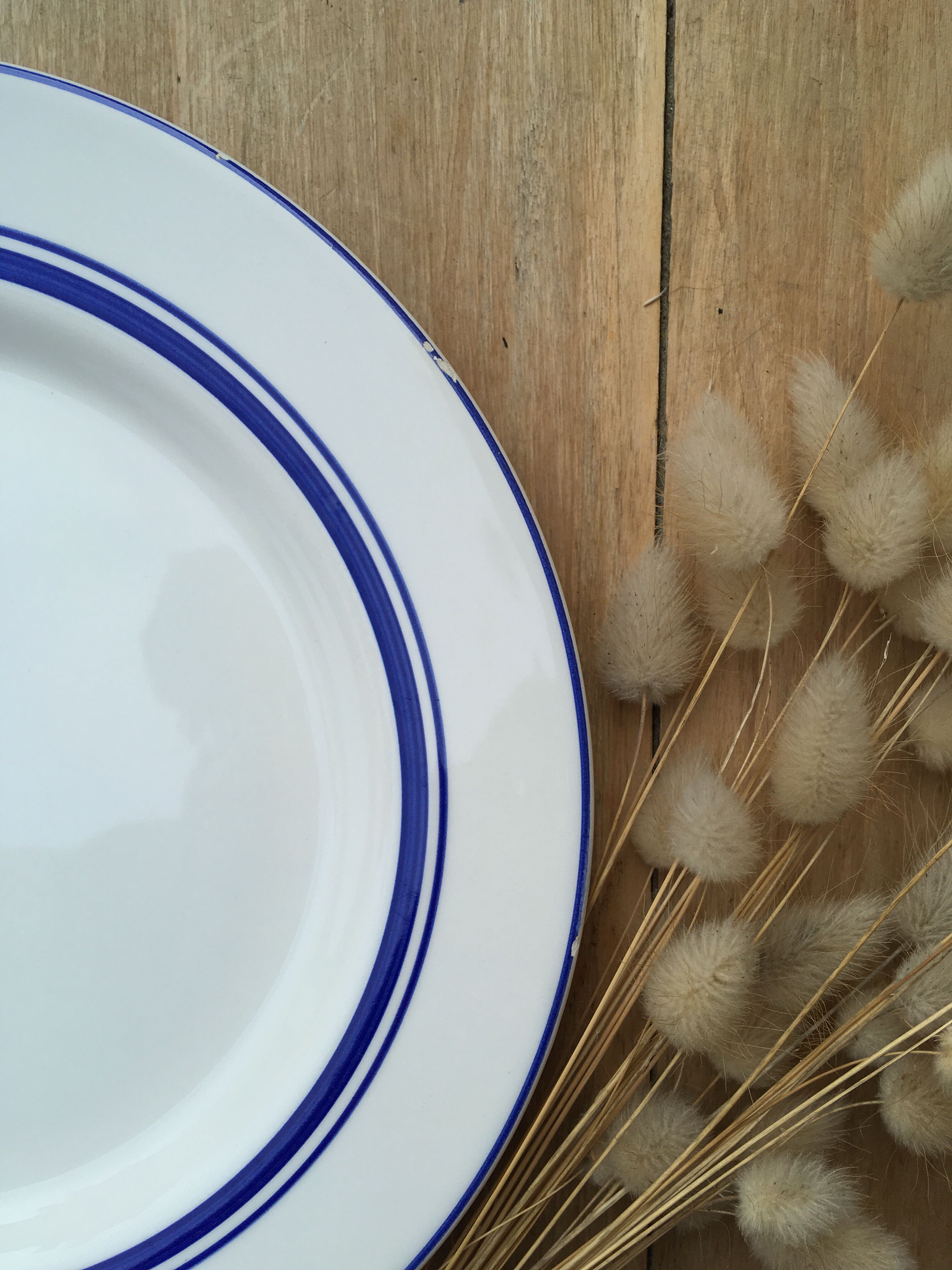 Flat plates with blue trims Quadrifoglio