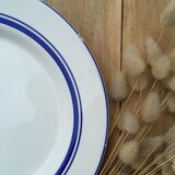 Flat plates with blue trims Quadrifoglio