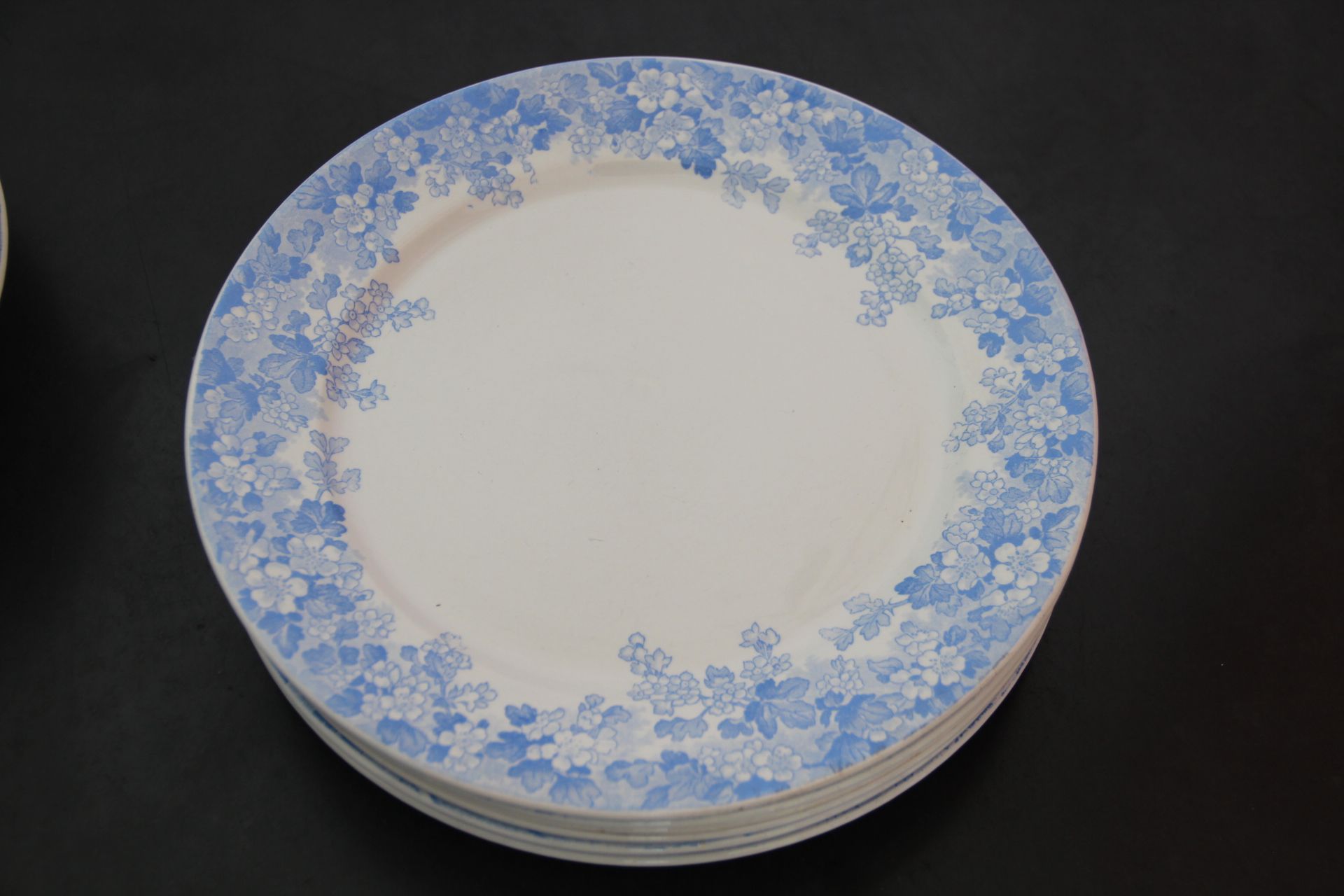 Rare plate service 6 people "Récamier" U&C Sarreguemines and Digoin late nineteenth °