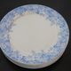 Rare plate service 6 people "Récamier" U&C Sarreguemines and Digoin late nineteenth °