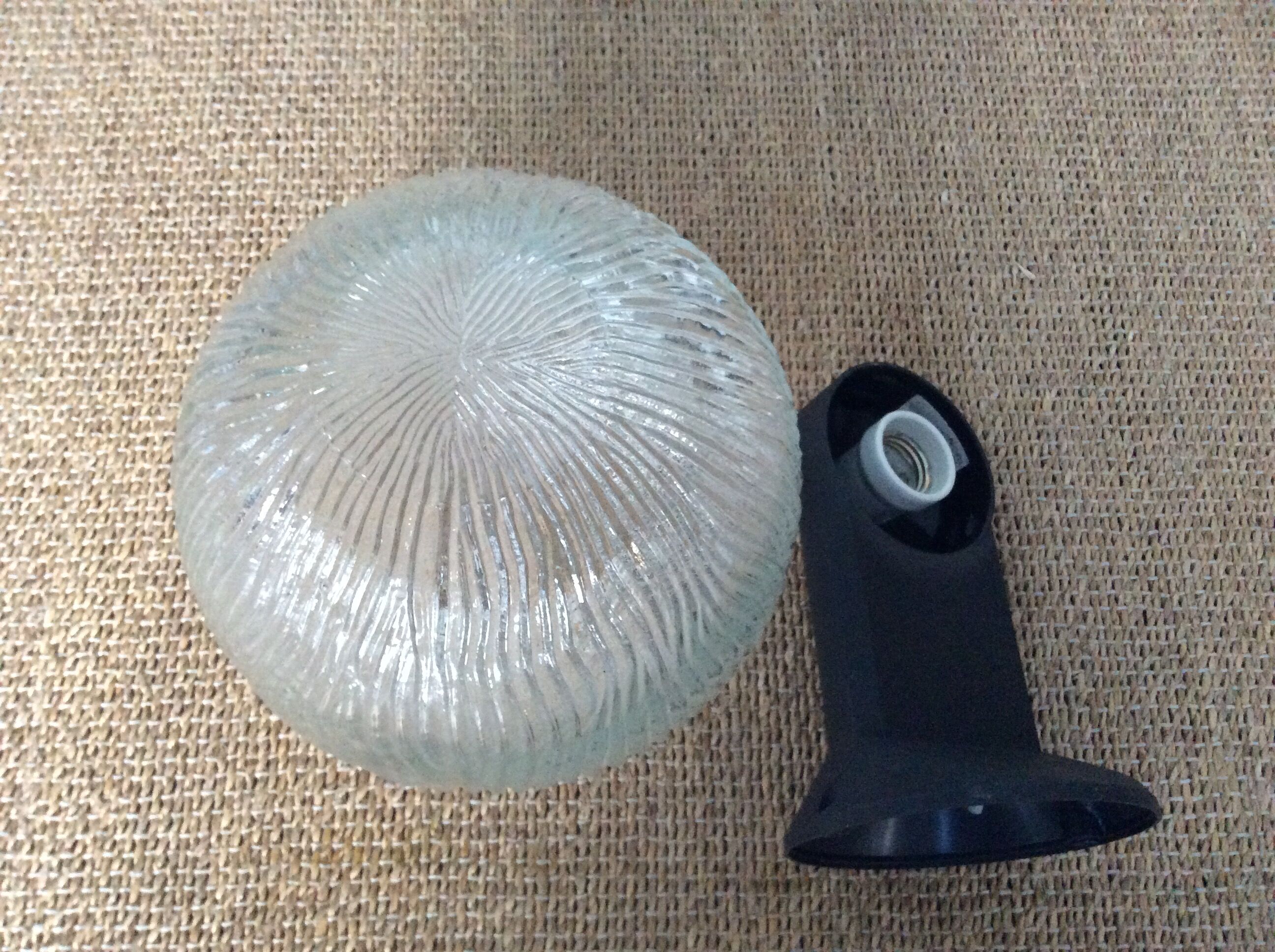 Glass ball globe wall lamp