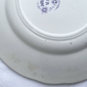 Assiettes dessert Sarreguemines modèle Jardinière XIXEME