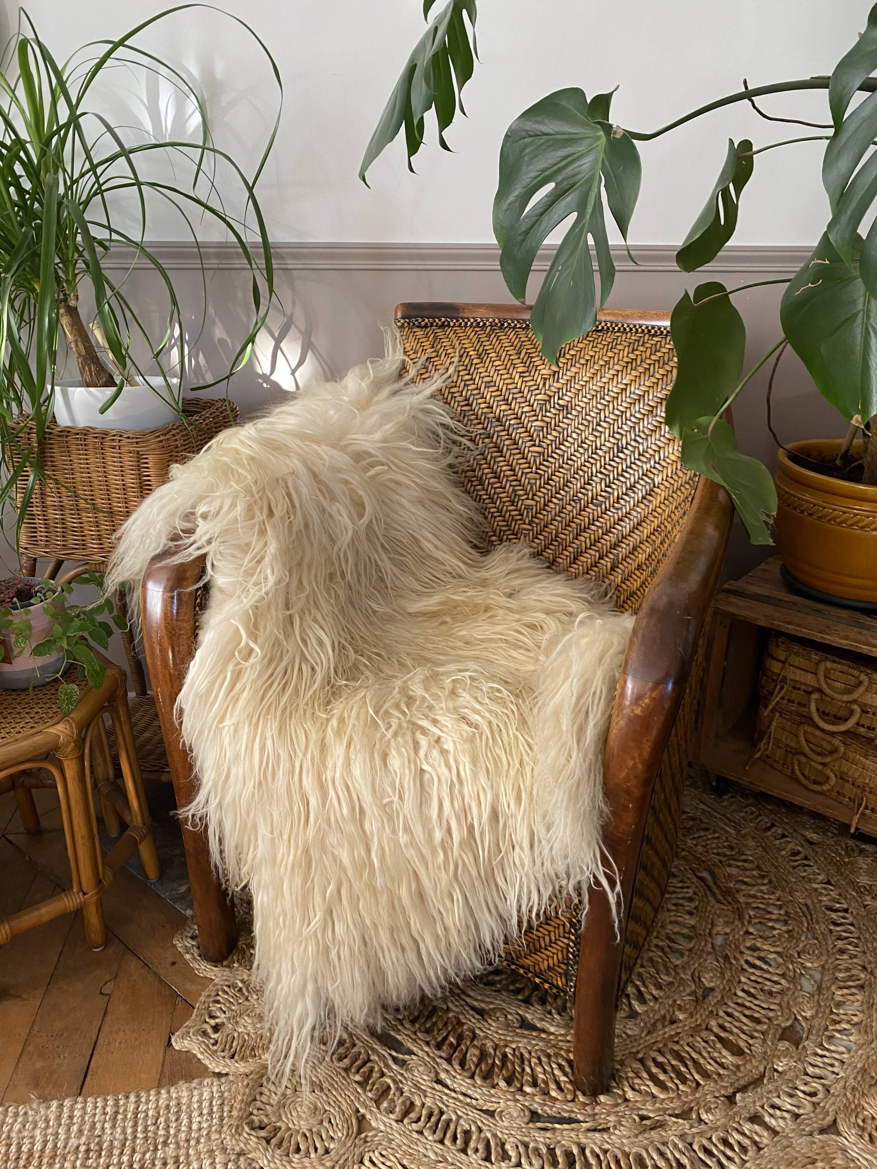 Fauteuil en rotin tressé vintage