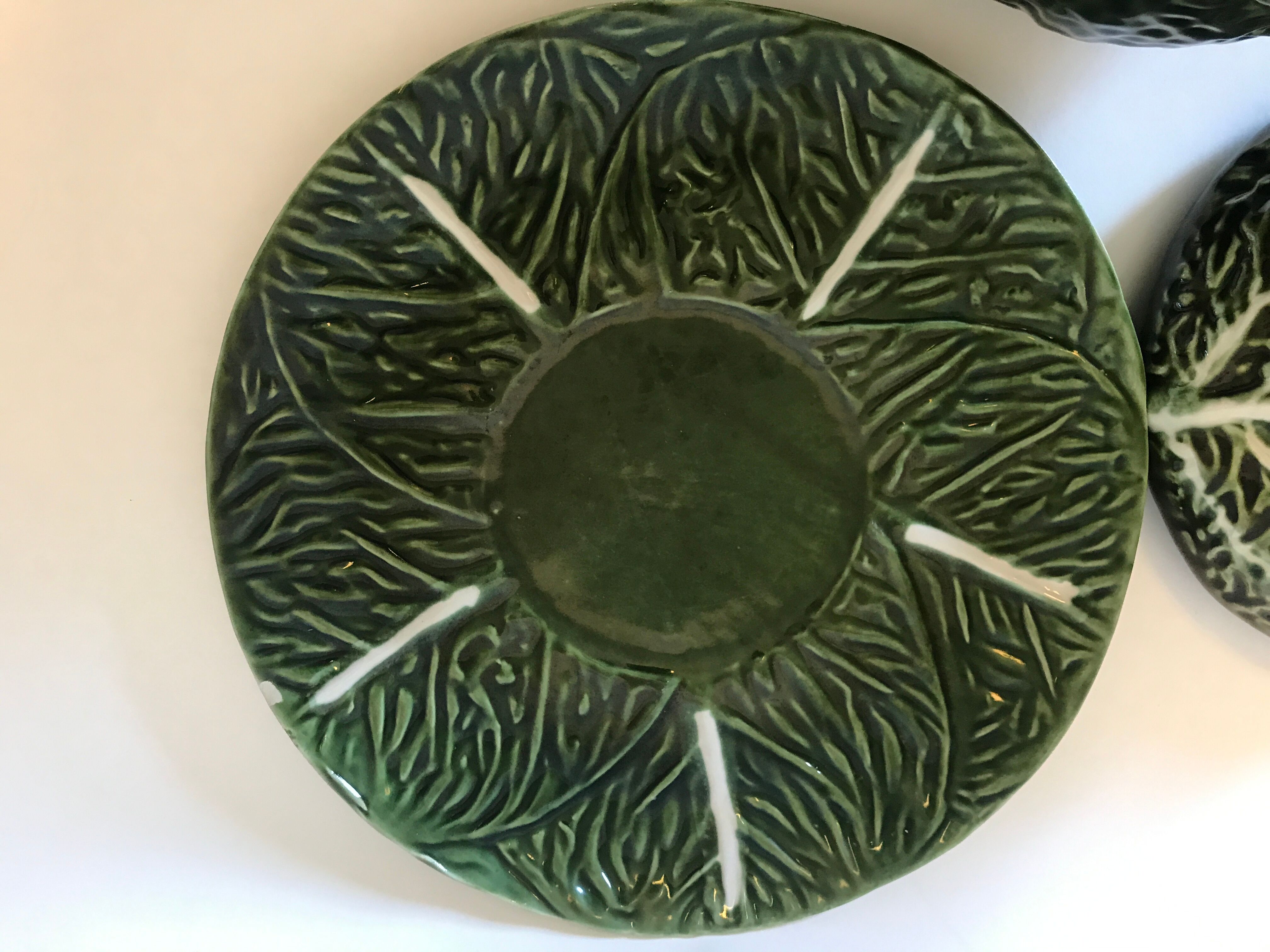Soup dabbling cabbage shape