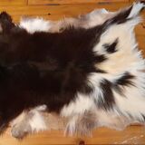 Goat skin