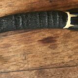 paper cutter in horn and wood. XIX century