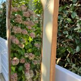 Beveled orphan mirror in wood, 179x65 cm